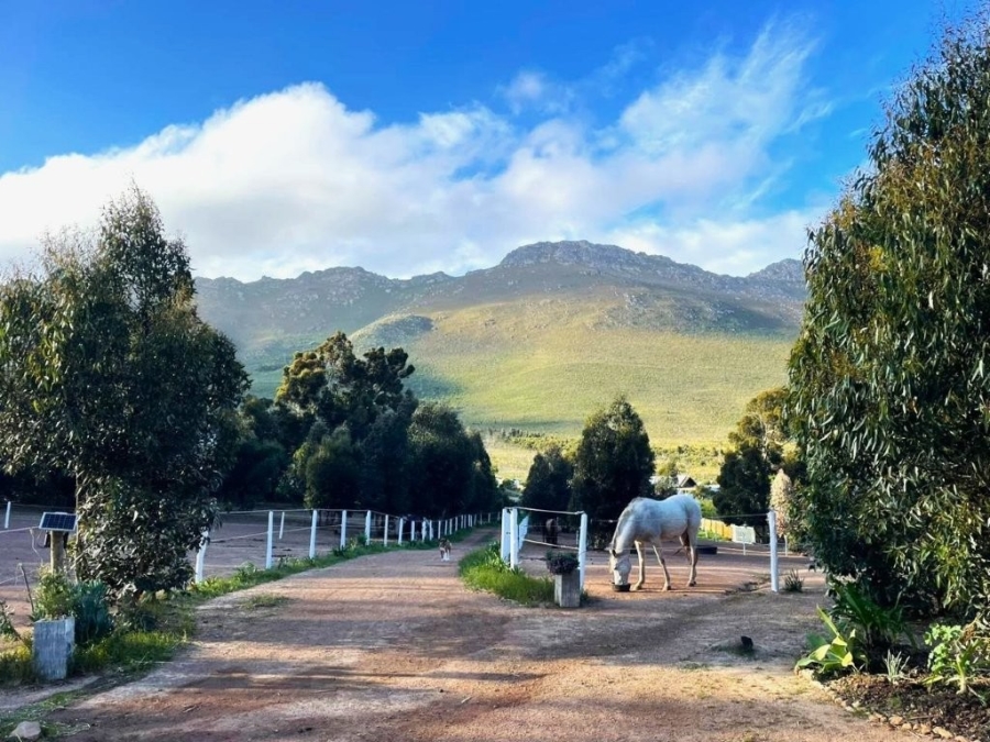 3 Bedroom Property for Sale in Firlands Western Cape